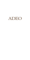 ADEO 寶旺營建機構